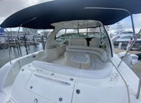 sea ray sundancer